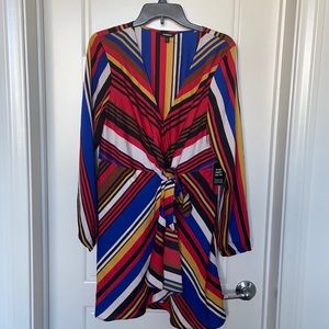 Express long sleeve dress